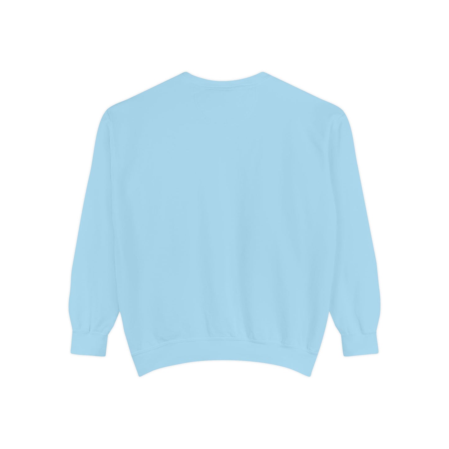Mr. Turtle Garment-Dyed Sweatshirt - Eco-Friendly Casual Wear