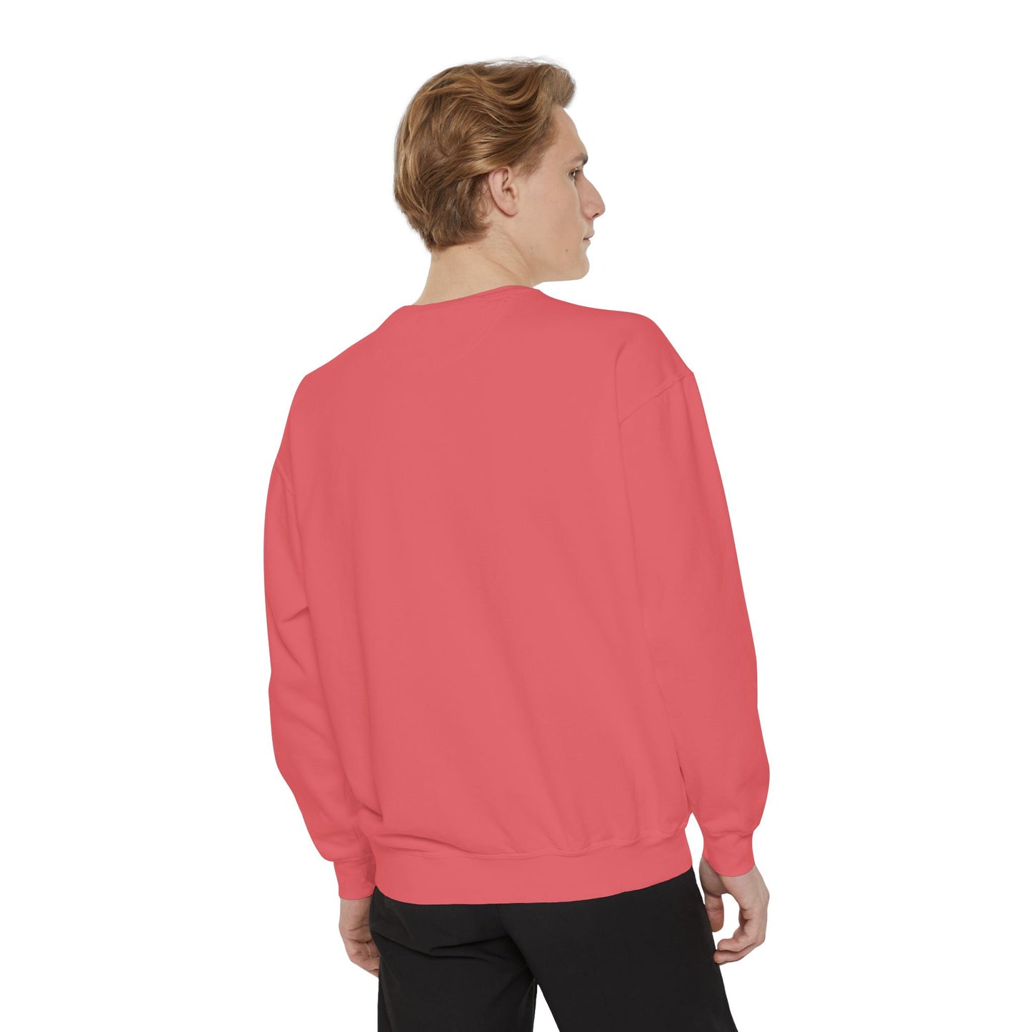 Mr. Turtle Garment-Dyed Sweatshirt - Eco-Friendly Casual Wear