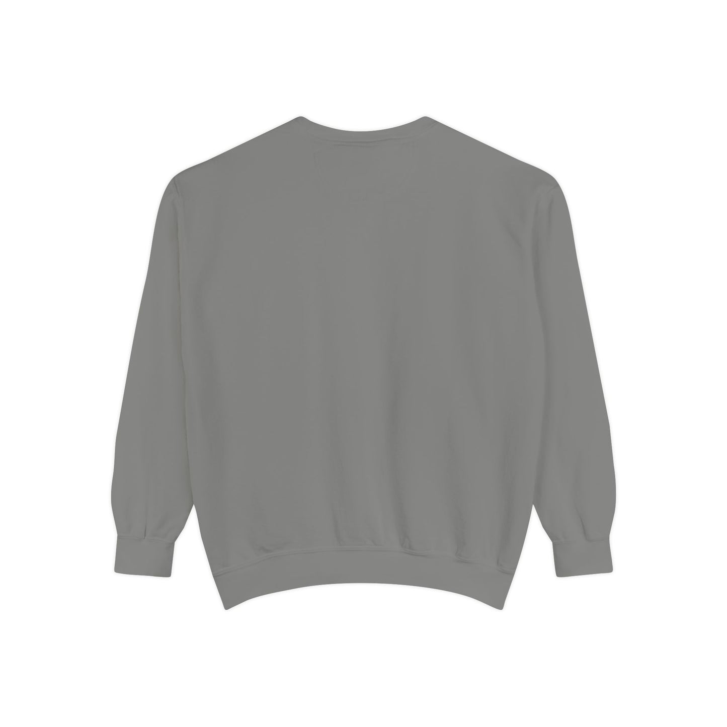 Mr. Turtle Garment-Dyed Sweatshirt - Eco-Friendly Casual Wear