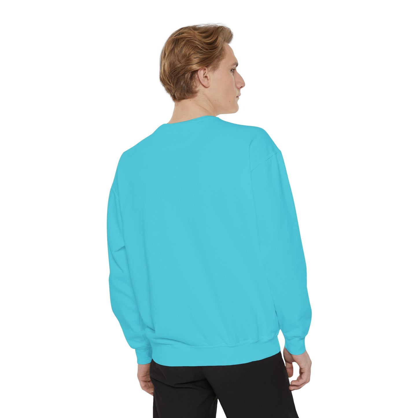 Mr. Turtle Garment-Dyed Sweatshirt - Eco-Friendly Casual Wear