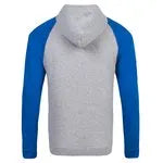 Raglan Hooded Sweatshirt